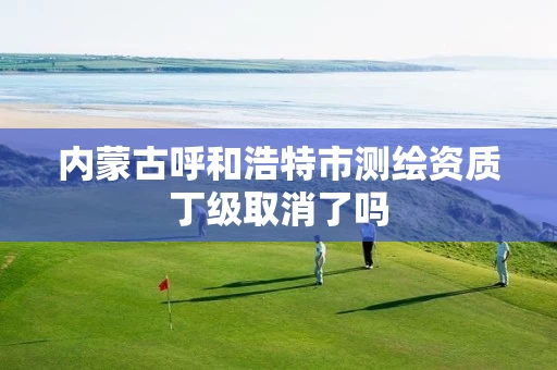 内蒙古呼和浩特市测绘资质丁级取消了吗