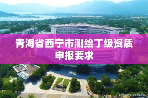 青海省西宁市测绘丁级资质申报要求