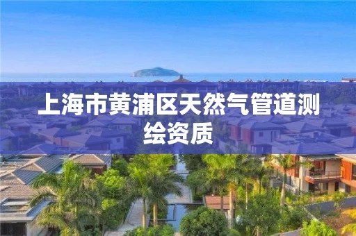 上海市黄浦区天然气管道测绘资质