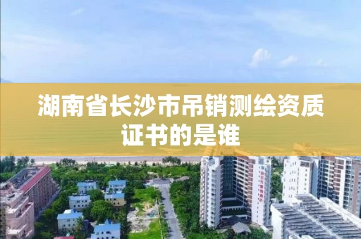 湖南省长沙市吊销测绘资质证书的是谁