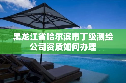 黑龙江省哈尔滨市丁级测绘公司资质如何办理