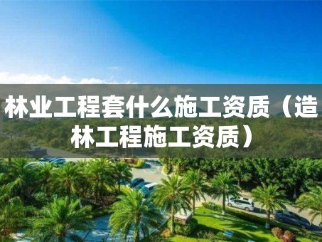 林业工程套什么施工资质（造林工程施工资质）