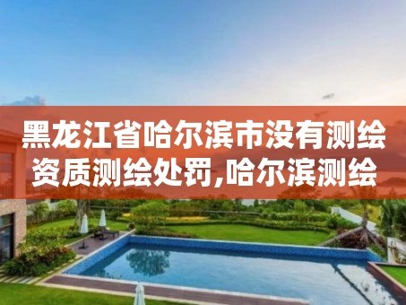 黑龙江省哈尔滨市没有测绘资质测绘处罚,哈尔滨测绘局位置