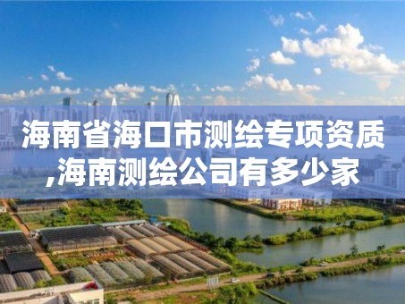 海南省海口市测绘专项资质,海南测绘公司有多少家