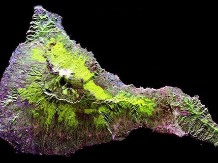 通过示例学习合成孔径雷达（SAR）