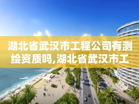 湖北省武汉市工程公司有测绘资质吗,湖北省武汉市工程公司有测绘资质吗有哪些。