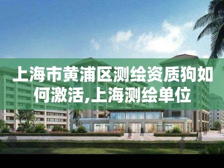 上海市黄浦区测绘资质狗如何激活,上海测绘单位