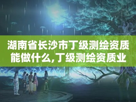 湖南省长沙市丁级测绘资质能做什么,丁级测绘资质业务范围有哪些。