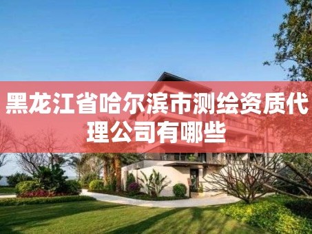 黑龙江省哈尔滨市测绘资质代理公司有哪些