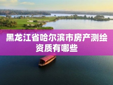 黑龙江省哈尔滨市房产测绘资质有哪些