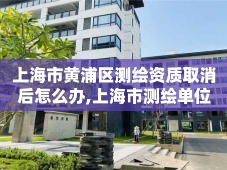 上海市黄浦区测绘资质取消后怎么办,上海市测绘单位名单。