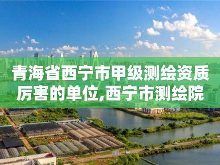 青海省西宁市甲级测绘资质厉害的单位,西宁市测绘院招聘公示。