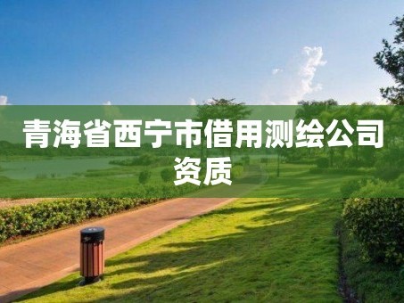 青海省西宁市借用测绘公司资质