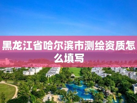 黑龙江省哈尔滨市测绘资质怎么填写