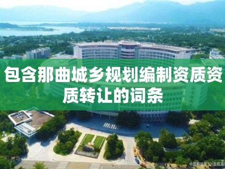 包含那曲城乡规划编制资质资质转让的词条