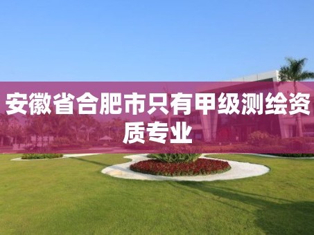 安徽省合肥市只有甲级测绘资质专业