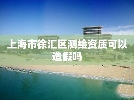 上海市徐汇区测绘资质可以造假吗