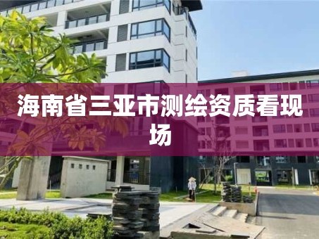 海南省三亚市测绘资质看现场