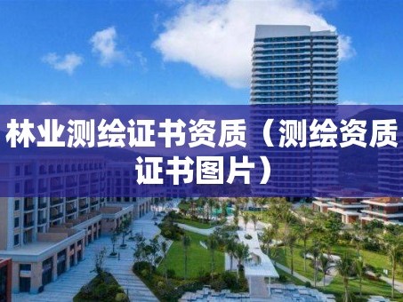 林业测绘证书资质（测绘资质证书图片）