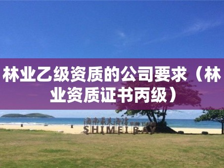 林业乙级资质的公司要求（林业资质证书丙级）