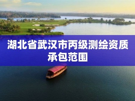 湖北省武汉市丙级测绘资质承包范围
