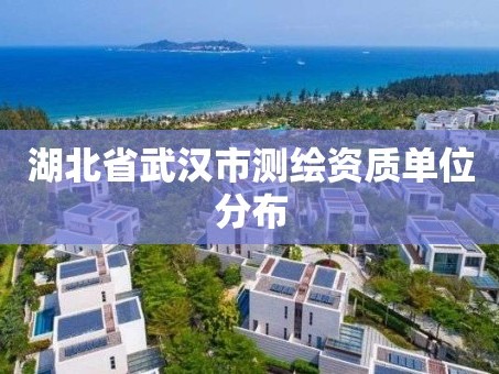 湖北省武汉市测绘资质单位分布