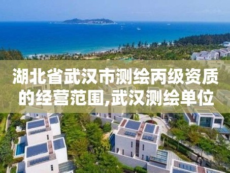 湖北省武汉市测绘丙级资质的经营范围,武汉测绘单位。