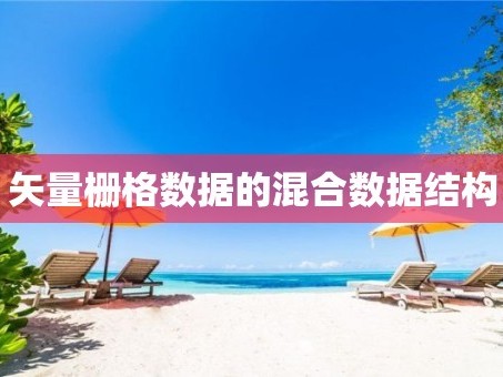 矢量栅格数据的混合数据结构