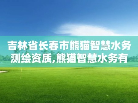 吉林省长春市熊猫智慧水务测绘资质,熊猫智慧水务有限公司武汉