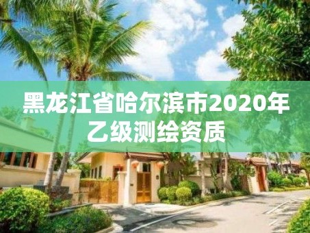 黑龙江省哈尔滨市2020年乙级测绘资质