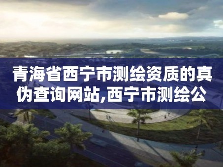 青海省西宁市测绘资质的真伪查询网站,西宁市测绘公司。
