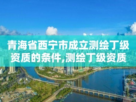 青海省西宁市成立测绘丁级资质的条件,测绘丁级资质申报条件。