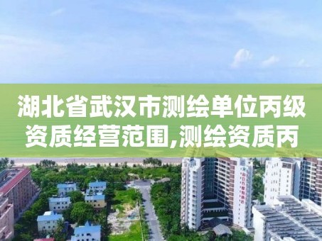 湖北省武汉市测绘单位丙级资质经营范围,测绘资质丙级业务范围。