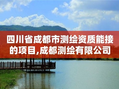 四川省成都市测绘资质能接的项目,成都测绘有限公司