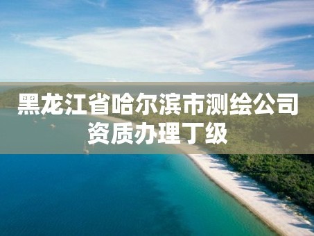 黑龙江省哈尔滨市测绘公司资质办理丁级