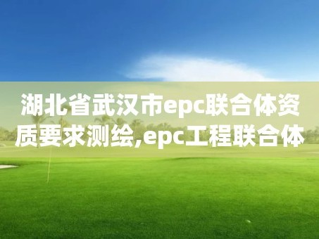 湖北省武汉市epc联合体资质要求测绘,epc工程联合体。