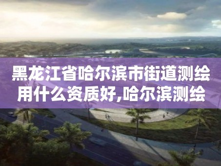 黑龙江省哈尔滨市街道测绘用什么资质好,哈尔滨测绘局幼儿园是民办还是公办