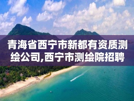 青海省西宁市新都有资质测绘公司,西宁市测绘院招聘公示