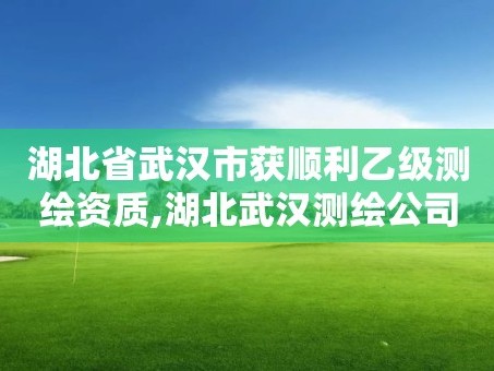 湖北省武汉市获顺利乙级测绘资质,湖北武汉测绘公司排行榜
