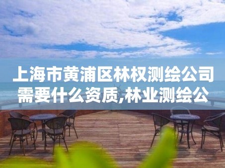 上海市黄浦区林权测绘公司需要什么资质,林业测绘公司。