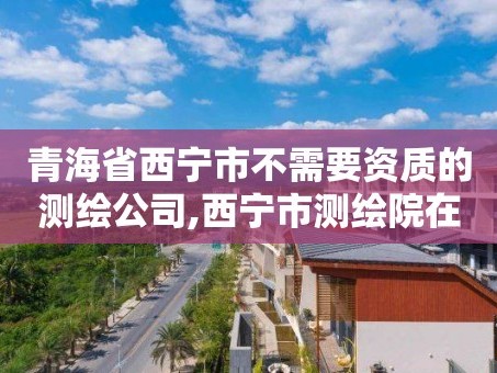 青海省西宁市不需要资质的测绘公司,西宁市测绘院在哪里。