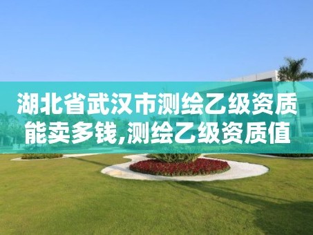 湖北省武汉市测绘乙级资质能卖多钱,测绘乙级资质值多少钱。
