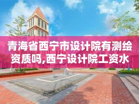 青海省西宁市设计院有测绘资质吗,西宁设计院工资水平。