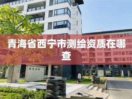 青海省西宁市测绘资质在哪查