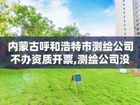 内蒙古呼和浩特市测绘公司不办资质开票,测绘公司没有资质可以开发票吗