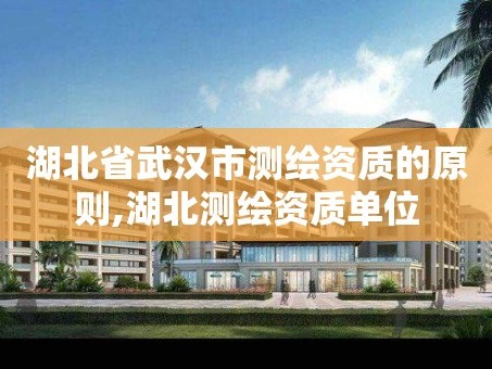 湖北省武汉市测绘资质的原则,湖北测绘资质单位