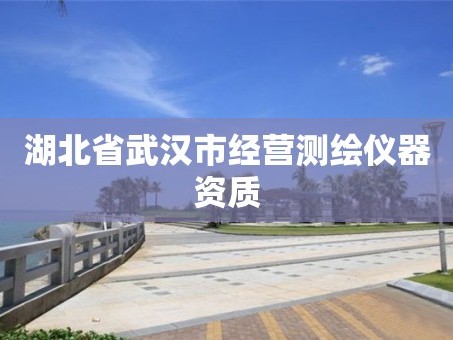 湖北省武汉市经营测绘仪器资质