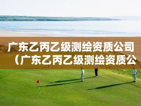 广东乙丙乙级测绘资质公司（广东乙丙乙级测绘资质公司名单）