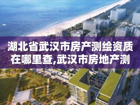湖北省武汉市房产测绘资质在哪里查,武汉市房地产测绘实施细则。