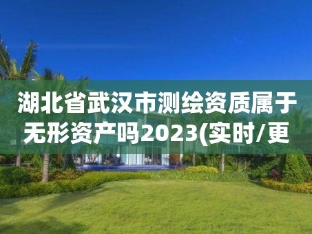 湖北省武汉市测绘资质属于无形资产吗2023(实时/更新中)